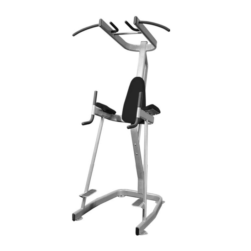 Vertical Knee Raise with Pull Up Station – Muscle D Fitness – Commercial