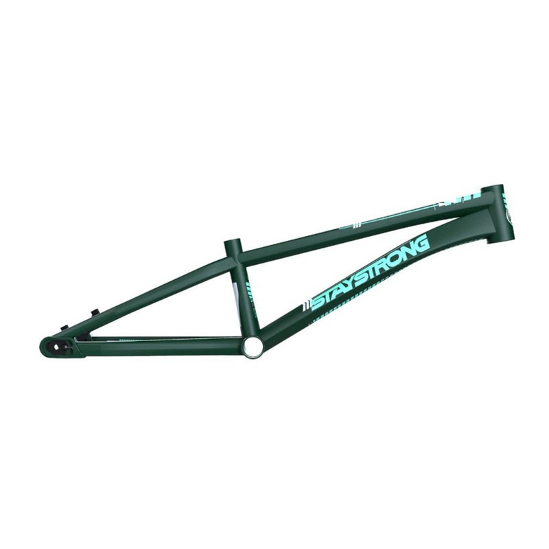 Stay Strong For Life V4 Disc Alloy BMX Race Frame-Green Expert