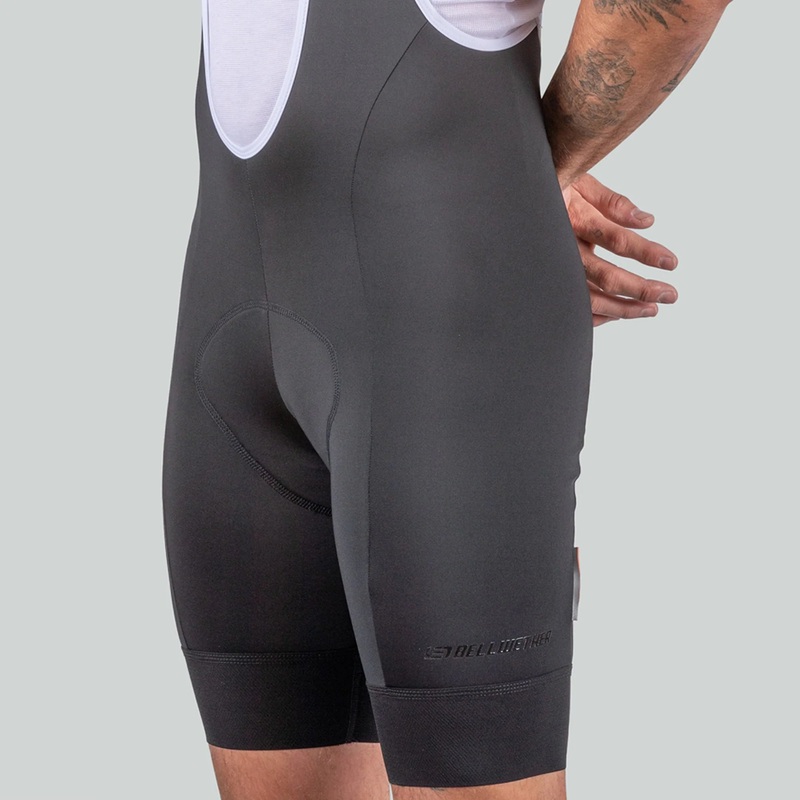 Newton Bib S