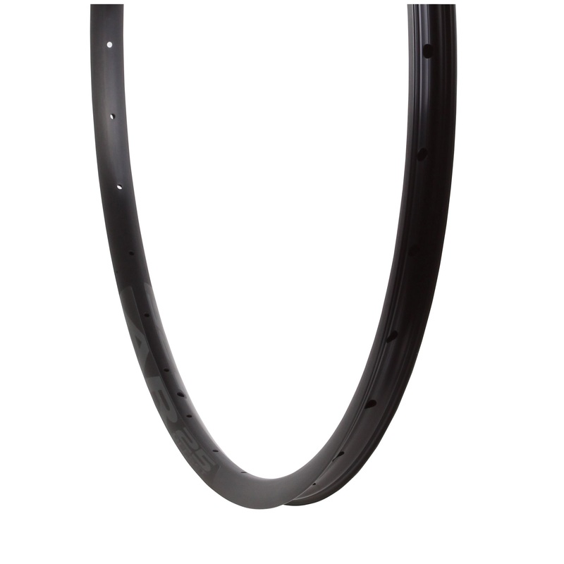AR 25 Rim – 29″ Disc Black 32H Offset